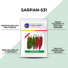Load image into Gallery viewer, Sarpan - 531 (Duel purpose Chilli)