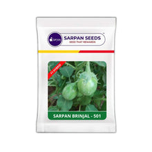 Load image into Gallery viewer, Sarpan Brinjal 501