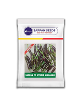 Load image into Gallery viewer, Sarpan F1 –Mahakali