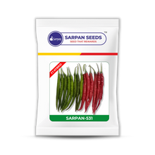 Load image into Gallery viewer, Sarpan - 531 (Duel purpose Chilli)
