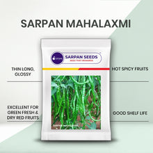 Load image into Gallery viewer, Sarpan Mahalaxmi