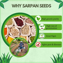 Load image into Gallery viewer, Sarpan Simha-TEJA