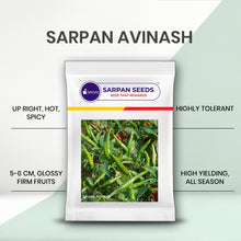 Load image into Gallery viewer, Sarpan - Avinash (upright chilli)