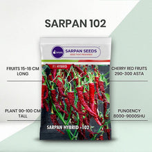 Load image into Gallery viewer, Sarpan -102 ( Dabbi Byadgi Chilli seeds )