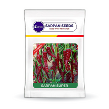 Load image into Gallery viewer, Sarpan Super ( Dabbi Byadgi Chilli seeds )