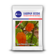 Load image into Gallery viewer, Sarpan Haberanos -18 Orange
