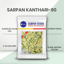 Load image into Gallery viewer, Sarpan  Kanthari-90