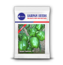 Load image into Gallery viewer, Sarpan Capsicum -79