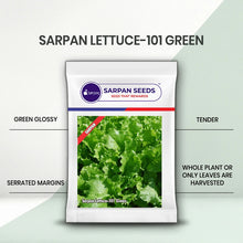 Load image into Gallery viewer, Sarpan Lettuce-101 Green