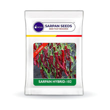 Load image into Gallery viewer, Sarpan -102 ( Dabbi Byadgi Chilli seeds )
