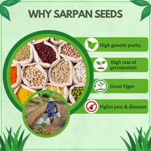 Load image into Gallery viewer, Kitchen Garden - Vegetable seeds