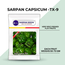 Load image into Gallery viewer, Sarpan Capsicum -TX-9