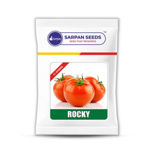 Load image into Gallery viewer, ROCKY Tomato (White Shoulder)
