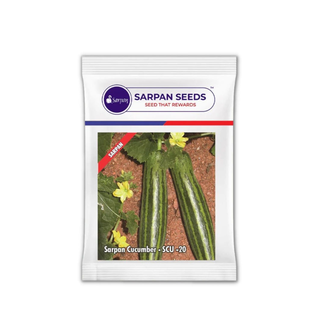 Sarpan Cucumber –SCU-20