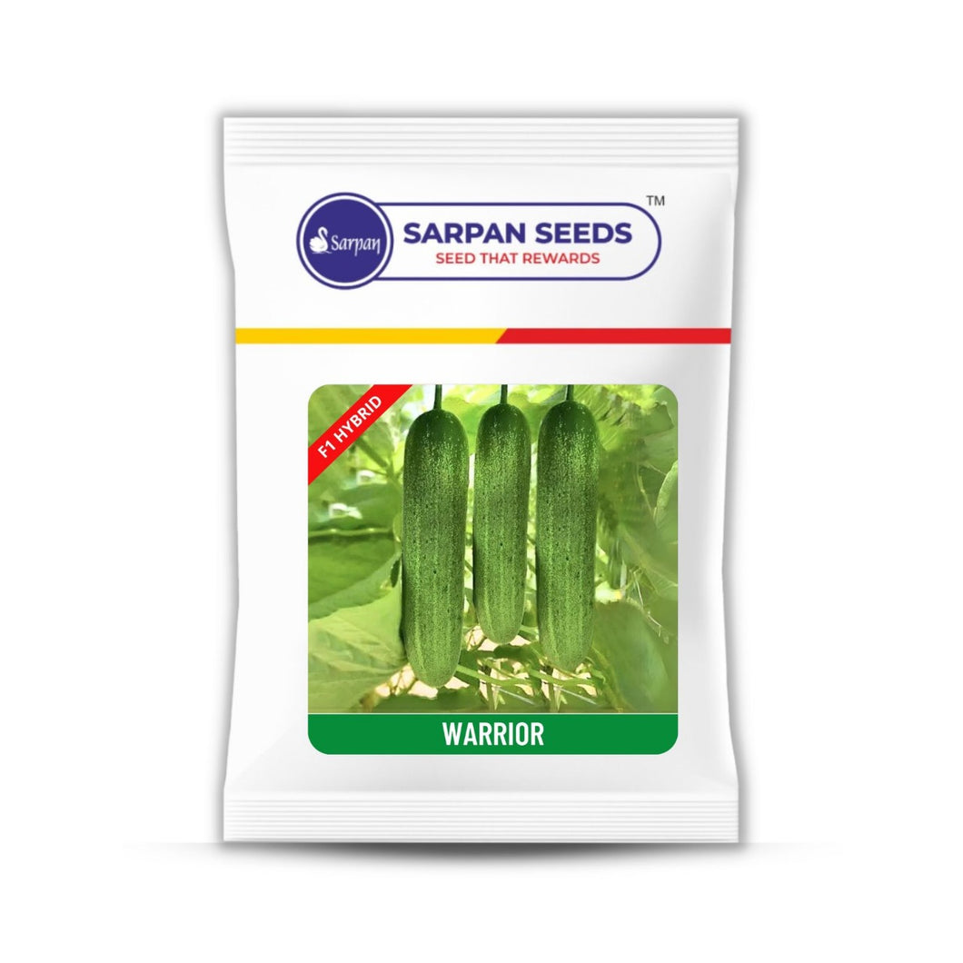 Sarpan WARRIOR Cucumber (F1 Hybrid)