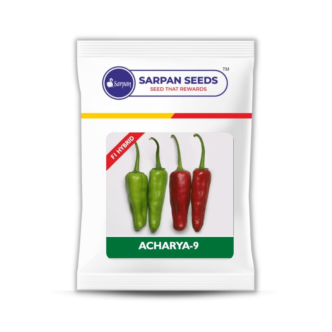 Sarpan Acharya-9 ( Achar chilli) – Sarpan Seeds