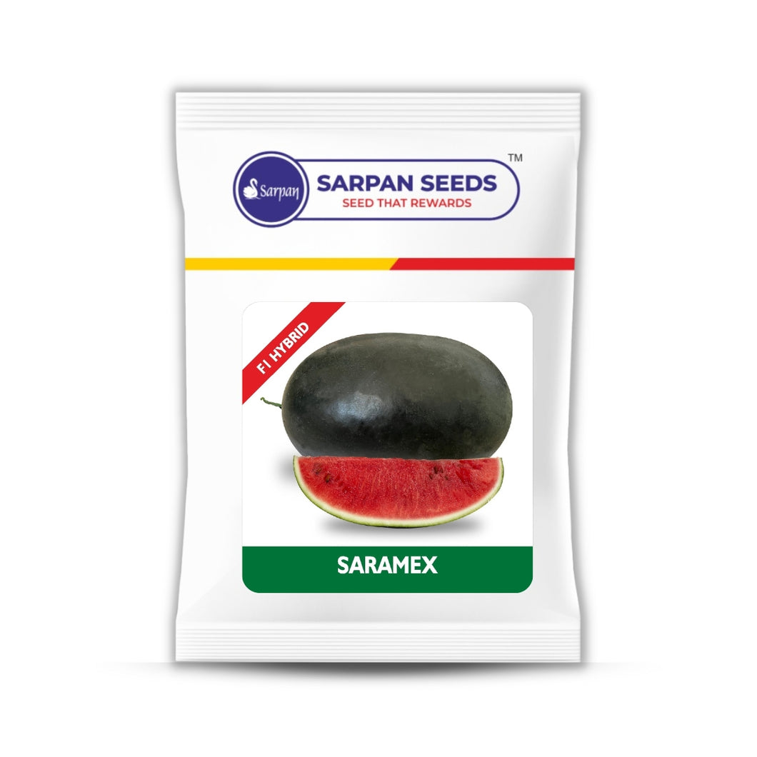 SARAMEX - Watermelon (ICEBOX)