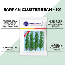 Load image into Gallery viewer, Sarpan Clusterbean-101
