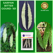 Load image into Gallery viewer, Bittergourd Sarpan Bitter gourd-101
