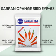Load image into Gallery viewer, Sarpan Orange Bird Eye-63
