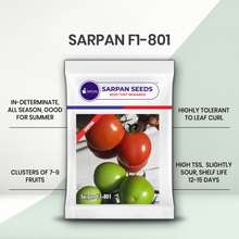 Load image into Gallery viewer, Sarpan  F1-801 Tomato
