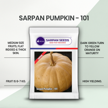 Load image into Gallery viewer, Sarpan Pumpkin-101

