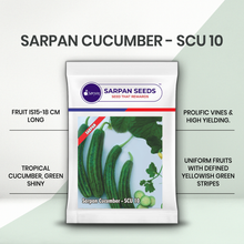 Load image into Gallery viewer, Sarpan Cucumber –SCU 10
