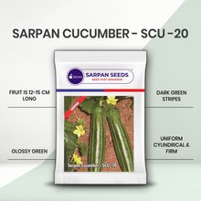 Load image into Gallery viewer, Sarpan Cucumber –SCU-20
