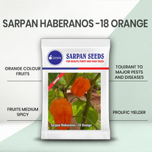 Load image into Gallery viewer, Sarpan Haberanos -18 Orange
