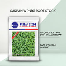 Load image into Gallery viewer, Sarpan WR-801 Root stock
