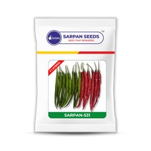 Load image into Gallery viewer, Sarpan - 531 (Duel purpose Chilli)
