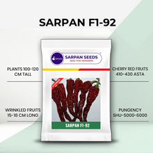 Load image into Gallery viewer, Sarpan F1- 92 ( Dabbi Byadgi Chilli seeds )
