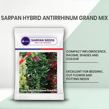 Load image into Gallery viewer, Sarpan Hybrid Antirrhinum Grand Mix

