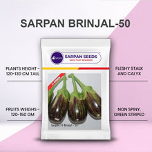 Load image into Gallery viewer, Sarpan F1 Brinjal- 50
