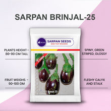 Load image into Gallery viewer, Sarpan Brinjal -25
