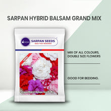 Load image into Gallery viewer, Sarpan Hybrid Balsam Grand Mix
