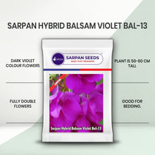 Load image into Gallery viewer, Sarpan Hybrid Balsam Violet  Bal-13
