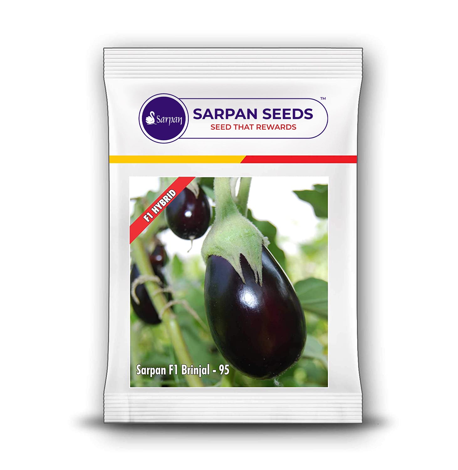 baniran.*・゜ページ Sarpan F1 Brinjal-95 – Sarpan Seeds
