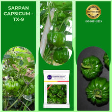 Load image into Gallery viewer, Sarpan Capsicum -TX-9
