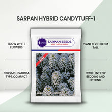 Load image into Gallery viewer, Sarpan Candytuff-1
