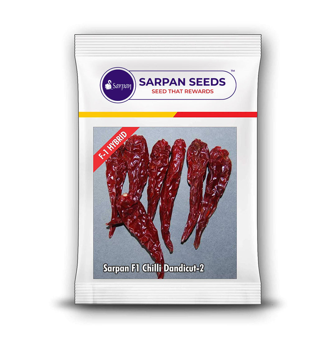 Sarpan Seeds  F1 Dandicut-2
