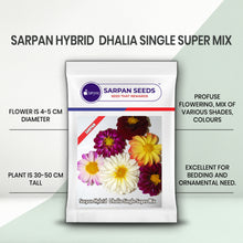 Load image into Gallery viewer, Sarpan Hybrid  Dhalia Single Super Mix
