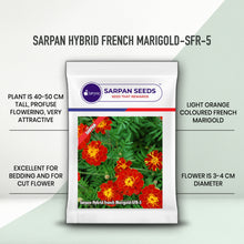 Load image into Gallery viewer, Sarpan Hybrid French marigold-SFR-5 Red
