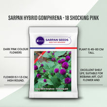 Load image into Gallery viewer, Sarpan Hybrid Gomphrena-18 Shocking pink
