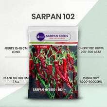 Load image into Gallery viewer, Sarpan -102 ( Dabbi Byadgi Chilli seeds )
