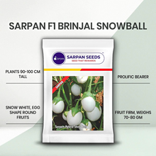 Load image into Gallery viewer, Sarpan F1 Brinjal Snowball
