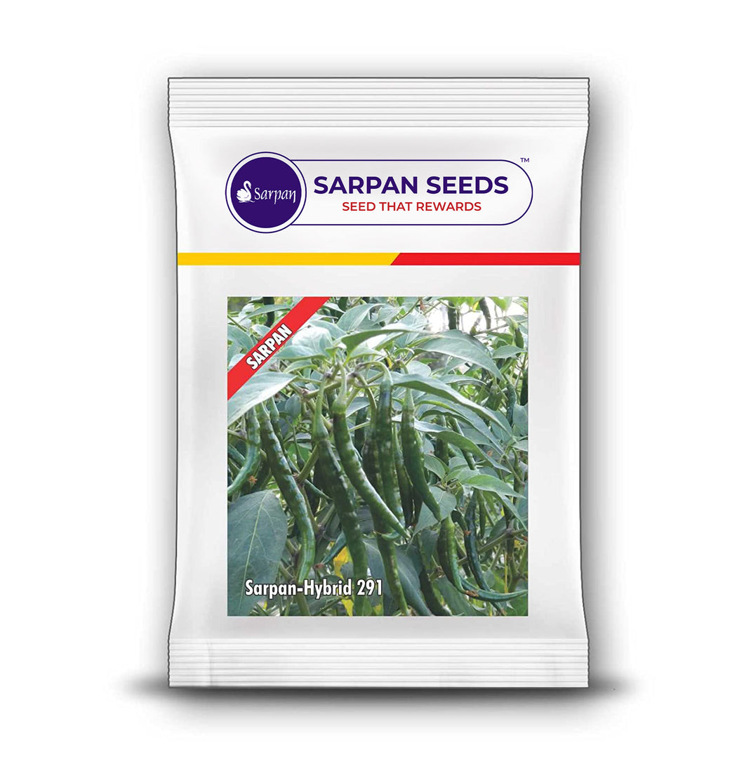 Sarpan 291 chilli seeds