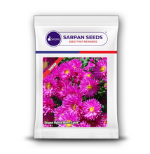 Load image into Gallery viewer, Sarpan Hybrid  Aster-2 Pink

