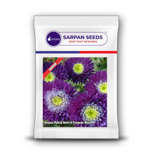 Load image into Gallery viewer, Sarpan Hybrid Aster-6 Pompom Blue
