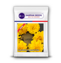 Load image into Gallery viewer, Sarpan Hybrid French  Marigold -25 Yellow
